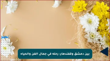بين دمشق وقفندهار: رحلة في جمال الفن والحياة